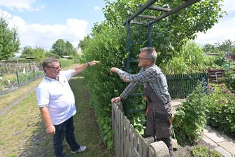 Heckenstreit in Zwickauer Gartensparte: Neuer Vorsitzender will beim Bierchen Probleme lösen - Auch Vorstand Frank Mittag (l.) möchte, dass Werner Michael Grohmann im Oktober die Hecke schneidet, droht aber nicht mit Kündigung.