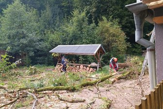 Heftige Windböen in Frankenberg: Umgestürzter Baum beschädigt Brücke - Heftiger Wind hat in Sachsenburg einen Baum entwurzelt.