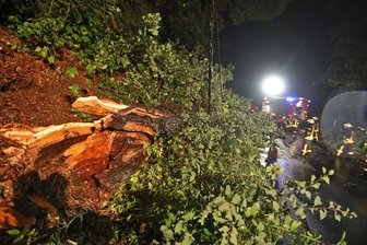 Heftiges Gewitter: Ast kracht auf Stromleitung - Durch ein heftiges Gewitter ist in Oberlungwitz ein Ast auf eine Stromleitung gefallen.