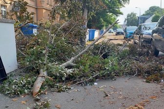 Heftiges Unwetter verursacht Schäden im Vogtland - Der morgen danach: An der Straßberger Straße in Plauen zeugen heruntergebrochene Äste vom Unwetter der Nacht.