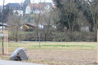 Heimatfreunde hübschen Wanderweg auf - Die zwei neuen "Lutherlinden" und der Gedenkstein mit Infotafel.