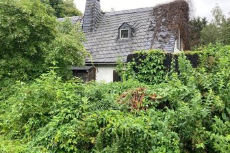 Heinecke-Haus in Bobenneukirchen: Verkauf im dritten Anlauf - Das Haus der verstorbenen Künstlerin Regine Heinecke erhält einen neuen Eigentümer.