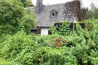 Heinecke-Haus in Oelsnitz: Verkauf ist geplatzt - Es hat etwas Verwunschenes: Das Haus der verstorbenen Künstlerin Regine Heinecke auf dem Pfaffenberg.