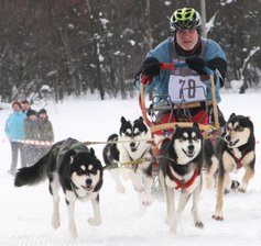 Schlittenhunderennen