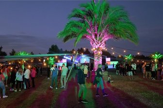 Heiße Party am Traumstrand des Zwickauer Flugplatzes - Ein Hauch Miami Beach: Der Zwickauer Flugplatz hat sich für das erste Palm-Beach-Open-Air in einen Traumstrand verwandelt. Dau trugen auch die bis zu sieben Meter hohen Palmen bei.