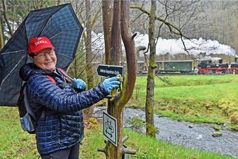 Helfer lassen sich von Dauerregen im Preßnitztal nicht abhalten - Putzaktion im Preßnitztal, die Wanderwege werden gesäubert. Astrid Groschopp putzt die Wanderwegeschilder. 