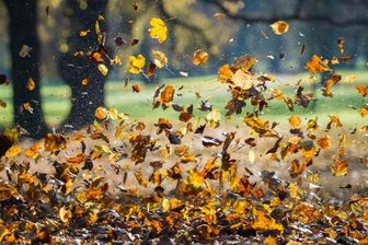 Herbst in Sachsen war zu warm und zu trocken -