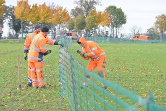 Herbst ist... wenn die Straßenmeistereien in Mittelsachsen die Schneezäune aufstellen - 
