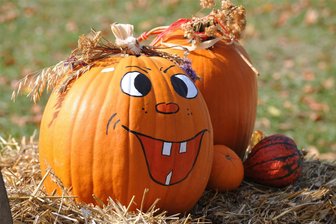 Herbstferien in Chemnitz: Das sind die Tipps für Kinder und Teens - Im Sonnenlandpark werden in den Herbstferien fleißig Kürbisse geschnitzt. Am 8. Oktober lernen Kinder unter Anleitung, ihren eigenen Kürbis zu verzieren.