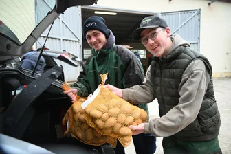 Herbstfest in Memmendorf: Von Afra-Knolle bis zur Wellfleisch-Spezialität - Luis Wendland und Max Scheel halfen beim Verladen der Kartoffeln in Memmendorf.
