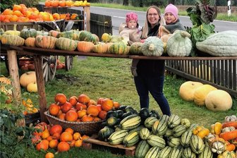 Herbstgemüse in Deutscheinsiedel in der Überzahl - Ein Vorgarten voller Kürbisse zieht in Deutscheinsiedel an der Neuhausener Straße nach Tschechien die Blicke auf sich. Kleine und große Speise- sowie Zierkürbisse liegen zum Verkauf bereit. Eine Kasse des Vertrauens befindet sich am Gartenzaun. Wer möchte, kann sich eines der bunten Herbstgemüse aussuchen, bezahlen und mitnehmen. "Wir haben insgesamt etwa 2000 Kürbisse geerntet, sagt Anna-Maria Meitzner, die mit ihren Töchtern Rahel (links) und Ruth immer wieder danach schaut. Ihr Mann Max Meitzner ist gelernter Gärtner und hat die Kürbisse verschiedener Sorten angebaut, wie sie erzählt. Auf einem Feld seines Großvaters in Deutschneudorf seien die Pflanzen gewachsen und geerntet worden. Die junge Familie versorge auch Interessenten mit anderem Gemüse in einer Art Wochen-Abo. "Mal sehen, ob daraus mehr wird", sagt die junge Frau.ar 