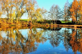 Herbstidylle im Oelsnitzer Bürgerpark - 
