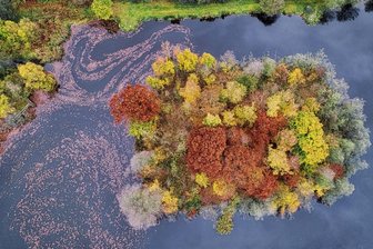 Herbstliche Farben erstrahlen - 