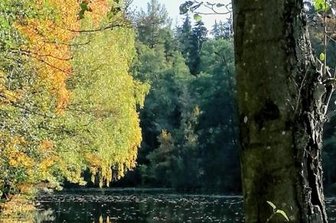 Herbstliche Idylle - 