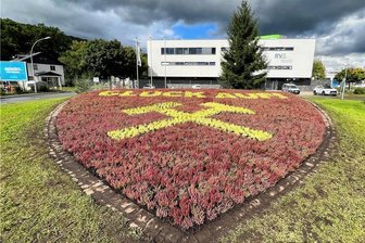 Herbstlicher Farbtupfer für Wappen-Beet in Aue - Das Wappen-Beet in Aue.