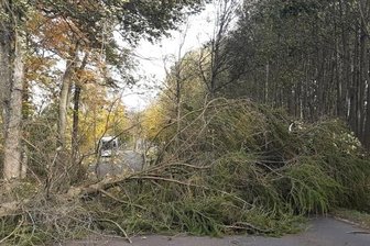 Herbststurm fegt durch den Landkreis - Auf der Bundesstraße 101 lag zwischen Freiberg und Brand-Erbisdorf am Donnerstagvormittag ein Baum quer auf der Fahrbahn. 