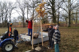 Herbstzauber in Wechselburg: Lichter, Feuer und Gemütlichkeit am Mulde-Ufer - Die Muldenaue „Unter den Eichen“ in Wechselburg erlebt die Premiere vom „Herbstleuchten“.