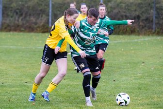 Herolder Fußballerinnen beenden Durststrecke in der Landesliga - Mit all ihrer Erfahrung schirmt Kathrin Stiehl den Ball vor Dresdens Alexa Langer ab.