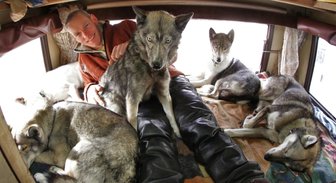 Herrliches Hundeleben - 
              <p class="artikelinhalt">Wenn der Wohnwagen zur Hundehütte wird: Die sieben Siberian Huskys weichen Lutz nicht von der Seite.</p>
            