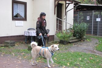 Herz für Tiere: Leisnig feiert mit Hunden und Katzen - Tierheimchefin Silke Pfumfel freut sich auf zahlreiche Gäste.