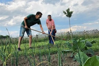 Heu statt Zierrasen: Wie ein Schrebergarten in Amtsberg zum Vorzeigeobjekt wird - Vereinschef Sven Thumser und Fabian Rott jäten Unkraut.