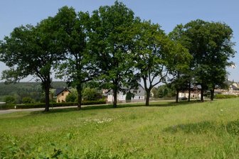Hickhack um Baumfällung für Feuerwehrneubau: Ortschaftsrat Schnarrtanne will bei der Planung Ortskenntnis einbringen - Das Gelände an der Schönheider Straße, wo das neue Feuerwehrdepot für Schnarrtanne gebaut werden soll. Müssen dafür Bäume gefällt werden? Und wenn ja, wie viele?