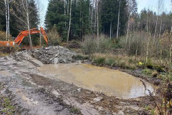 Hier entsteht im Vogtland neuer Lebensraum für Amphibien und Libellen - Durch das Anlegen der Wasserstellen entstehen neue Lebensräume im Wald.