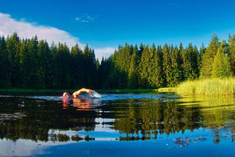 Hier gibt es Abkühlung an heißen Tagen: Die zehn schönsten Badestellen im Vogtland - Ein Gefühl wie in Schweden: Der Vogtlandsee, umgeben von Wald, verspricht echte Abkühlung.