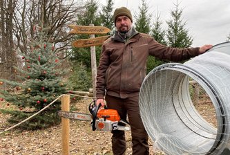 Weihnachtsbaumplantage in Mittweida