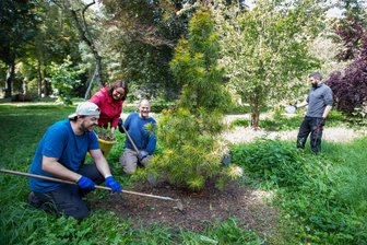 Hier packen alle gemeinsam an: Im Plauener Baumpark geht es voran -