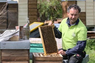 Hilfe für die Biene tut der Umwelt gut - Bienenzüchter Peter Gruner besucht mit seinem Bienenvolk auch regelmäßig Schulen und Kindergärten. 