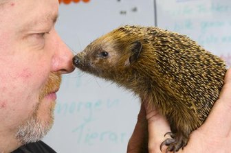 Hilfe für Wildtiere: Wie ein Straßenbahnfahrer zum Igelpapa wurde -