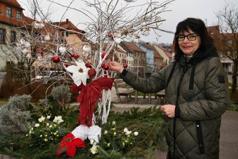 Hingucker in Penig: Bauamtsleiterin Ulrike Vogt gestaltet Pflanzkübel - und gibt Basteltipps auf den letzten Drücker - Am Peniger Rathaus hat die Bauamtsleiterin Ulrike Vogt eine ungewöhnliche Weihnachtsdekoration geschaffen. Diese ist ein echter Hingucker in der tristen Jahreszeit und kann mit ein paar Tipps im eigenen Garten gestaltet werden.