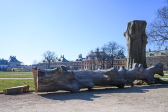 Historische Gärten kämpfen weiter gegen den Klimawandel - Die Staatlichen Schlösser, Burgen und Gärten haben ein Modellprojekt zur Auswirkung des Klimawandels in historischen Gärten beendet (Archivbild).