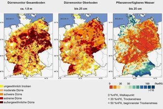 Hitze im Anmarsch - Sachsen droht weiteres trockenes Jahr - So trocken ist es aktuell in Deutschland und Sachsen: Daten aus dem Dürremonitor des Helmholtz-Zentrums für Umweltforschung in Leipzig vom 13. Juni 2022 zeigen, wie wenig Feuchtigkeit im Boden ist - besonders in Südwestsachsen