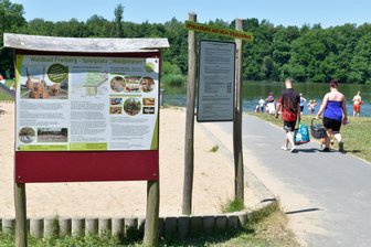 Hitzetage in Mittelsachsen: Wo Sie sich in Freiberg und Flöha abkühlen können - Im Waldbad Großer Teich in Freiberg ist der Besuch kostenfrei.
