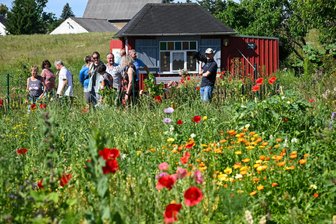 Hobbygärtner im Erzgebirge aufgepasst: Anmeldung für Tag der offenen Gartenpforte läuft - Gartenbesitzer können sich anmelden und so Teil einer besonderen Aktion werden.