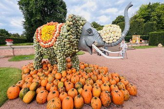 Hoch die Hände, langes Wochenende! 15 Tipps - von Teenie-Disko bis Kürbisschnitzen in Mittelsachsen - Meterhohe Skulpturen zum Thema Zirkus sind beim Kürbistfestival in Lichtenwalde zu sehen.