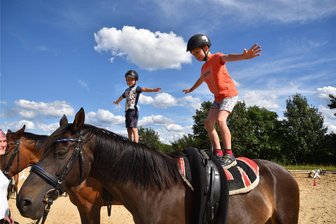 Hoch zu Ross in Lottengrün: Ranch integriert Kinder aus Wohngruppe - Die Kinder der Kleinstwohngruppe der Arbeiterwohlfahrt in Rodewisch werden Teil von einem Schauspiel bei den Ritterspielen im August in Lottengrün sein.