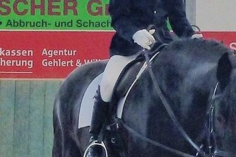 Hoch zu Ross -