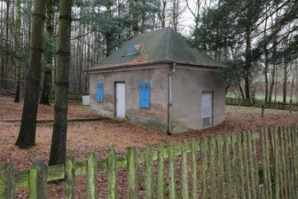 Hochlandrinder als Naturschützer - Im alten Pumpenhaus im Hirschgrund soll eine Informations- und Artenschutzstation eingerichtet werden.