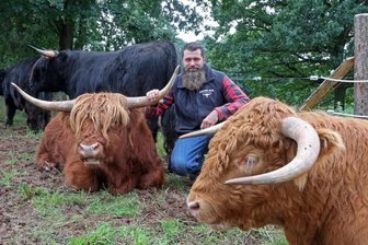Hochlandrinder sorgen für mehr Artenvielfalt - Züchter Maik Werner mit einigen der Schottischen Hochlandrinder, die er jetzt in mehreren Koppeln im Hirschgrund weiden lässt. 