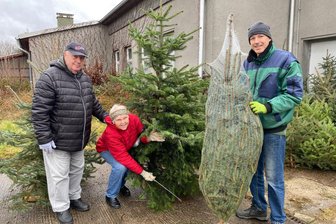 Hochsaison für den Weihnachtsbaumverkauf in Rochlitz und Hainichen: Hier finden Sie Ihr Bäumchen - Familie Knorr (links) findet ihren Weihnachtsbaum jedes Jahr auf der Plantage der Gärtnerei Wittig in Hainichen. Frank Schuricht hilft nach dem Schlagen beim Verpacken der Bäume.