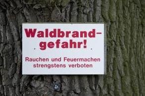 Höchste Waldbrandgefahrenstufe im nördlichen Freiberger Land -