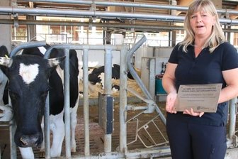Hofgut geht neue Wege und erhält Auszeichnung - Der Betrieb setzt bewusst auf Bullen aus behornten Zuchtlinien: Im Hofgut Eichigt tragen deshalb die Milchkühe Hörner. Auch dafür kann Herdenmanagerin Aneka Meinel die Stalltafel aufhängen. 