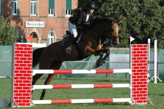 Hohe Sprünge am Ritterhof - Theres Ranft (Meusener Pferdefreunde) trug sich bereits am Freitagabend in die Siegerliste beim 30. Reitturnier in Altmittweida ein. Bei noch bestem Wetter meisterte sie den Parcours in der Springprüfung der Klasse A** am schnellsten.
