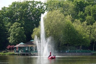 Hohe Temperaturen: Algen verbreiten sich im Chemnitzer Schloßteich - Im Schloßteich bilden sich derzeit verstärkt Algen. Um dem entgegenzuwirken und das Wasser besser zu belüften, bleibt die große Fontäne länger in Betrieb.
