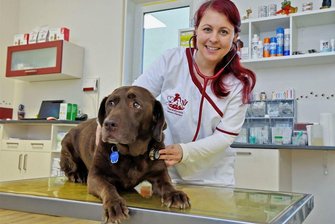 Hohenstein-Ernstthal: Tierärztin aus Grumbach eröffnet Kleintierpraxis - Tierärztin Verena Uhlmann aus Grumbach hat eine Praxisnebenstelle in der Dresdener Straße 2 in Hohenstein-Ernstthal eröffnet. Früher befand sich in den Räumen eine Bäckereifiliale.