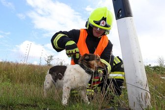 Hohenstein-Ernstthal: Unfall auf A4 - Paar verletzt, Hund stirbt -