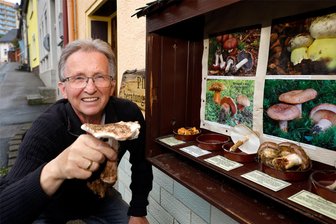 Hohenstein-Ernstthaler Pilzberater hat nach mauen Wochen noch etwas Optimismus - Pilzberater Werner Stolpe an seinem Schaukasten, in dem es auch zu schlechten Pilzzeiten etwas zu sehen gibt.